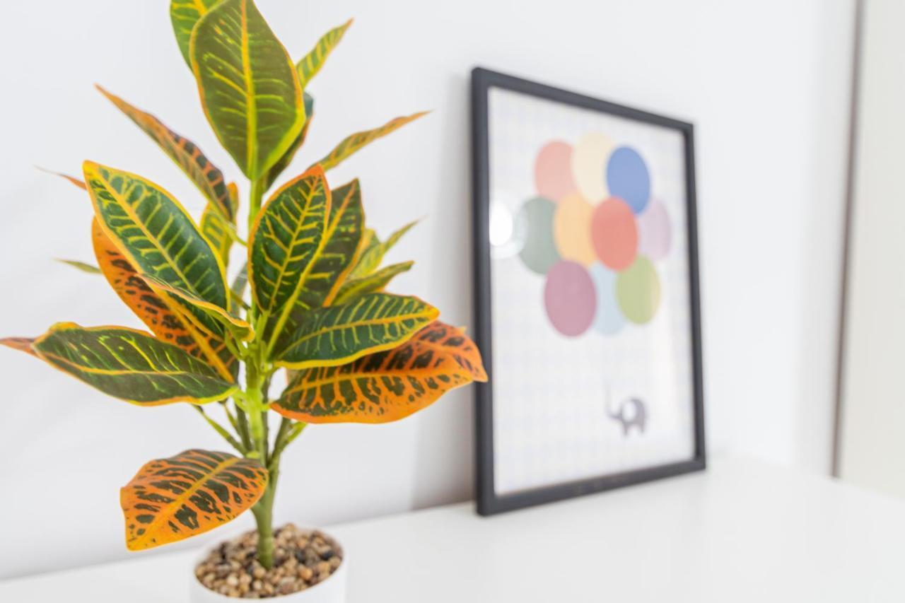 Apartamento Cadiz Be Kind Eksteriør billede